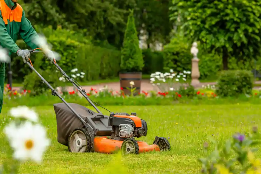 Landscaping Services