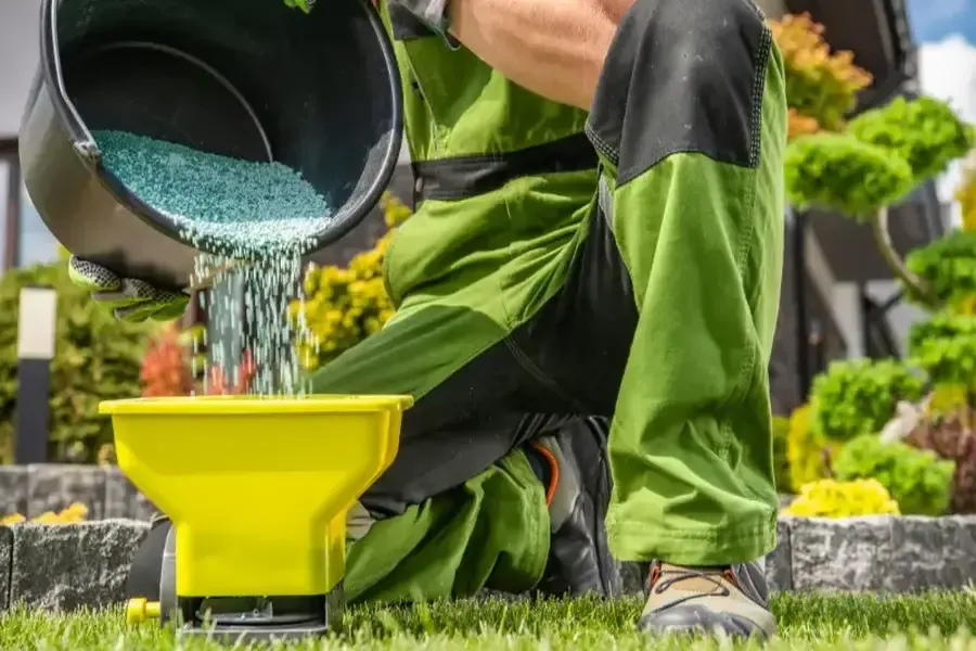 Choosing Plants And Features For Your Landscaping Needs Bethel, CT
