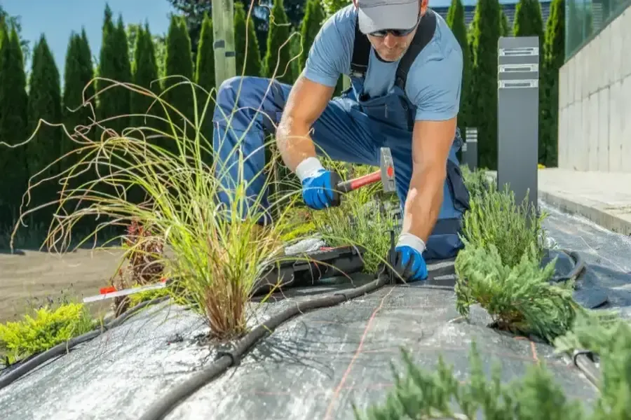 Choosing Plants And Features For Your Landscaping Needs in Bethel, CT