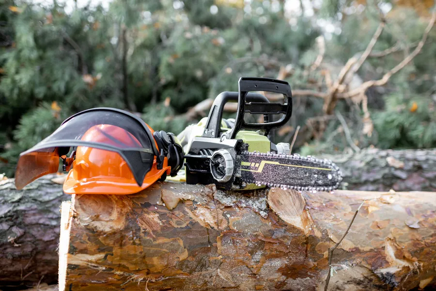 Common Tree Hazards And When Cutting Is Necessary Bethel, CT