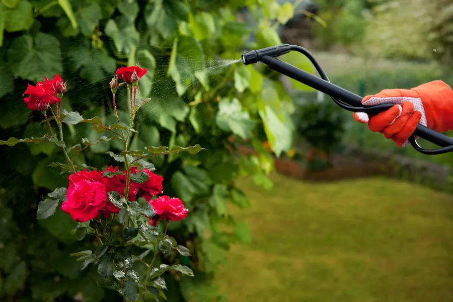 Essential Tips For Preparing Your Garden For Each Season Bethel, CT Essential Tips For Preparing Your Garden For Each Season Bethel, CT