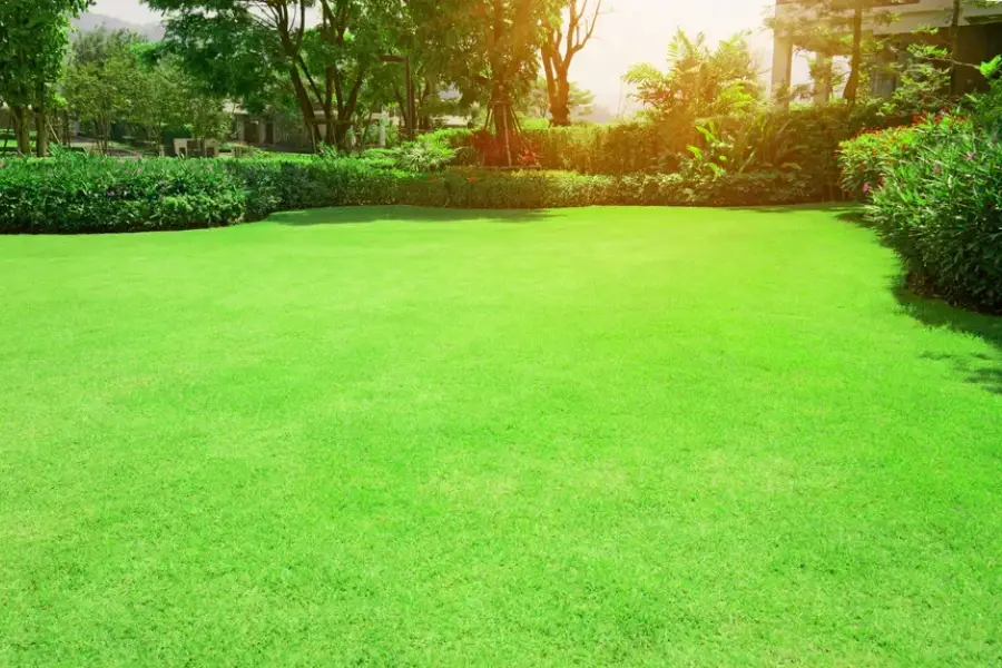 How Landscape Maintenance Improves Property Value Bethel, CT