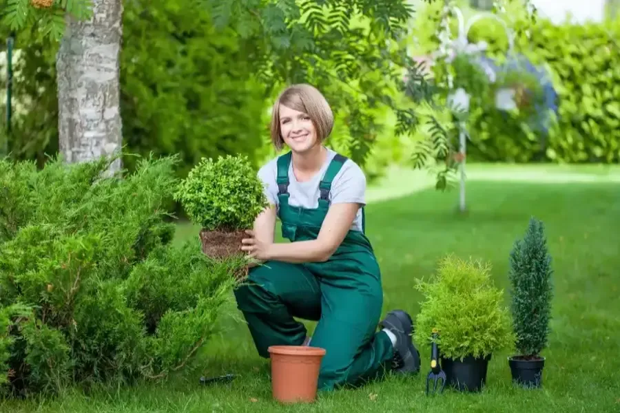 How Landscaping Services Create Outdoor Living Spaces Bethel, CT How Landscaping Services Create Outdoor Living Spaces Bethel, CT