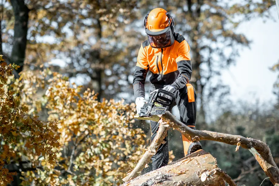 How Tree Cutting Services Prevent Property Damage Bethel, CT