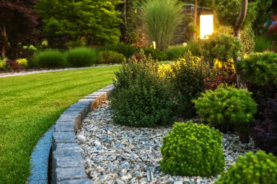 Preventing Weed Overgrowth With Routine Care Bethel, CT
