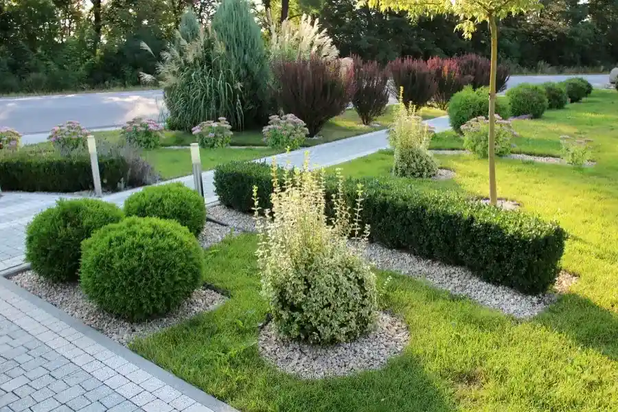 Preventing Weed Overgrowth With Routine Care in Bethel, CT